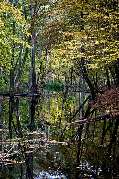 Kliknij na zdjęcie, żeby zobaczyć w pełnych wymiarach