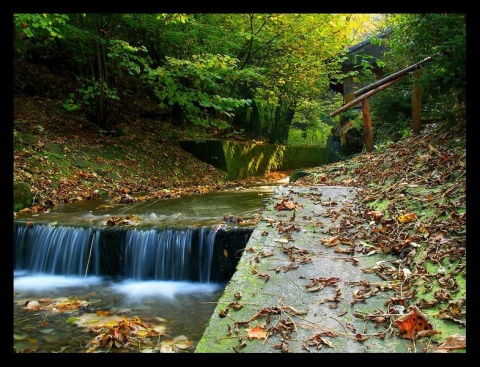 Kliknij na zdjęcie, żeby zobaczyć w pełnych wymiarach