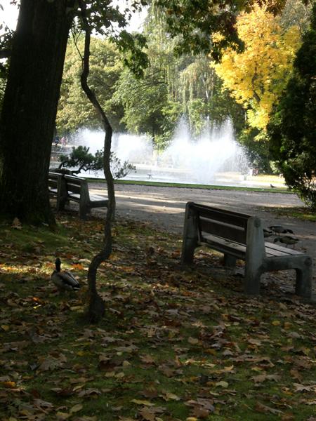 Kliknij na zdjęcie, żeby zobaczyć w pełnych wymiarach