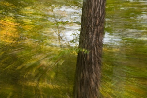 Kliknij na zdjęcie, żeby zobaczyć w pełnych wymiarach