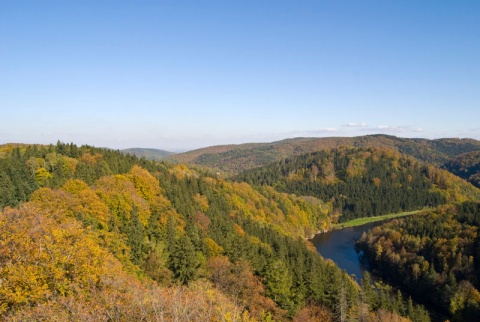 Kliknij na zdjęcie, żeby zobaczyć w pełnych wymiarach