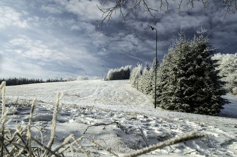 Kliknij na zdjęcie, żeby zobaczyć w pełnych wymiarach