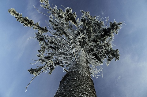 Kliknij na zdjęcie, żeby zobaczyć w pełnych wymiarach