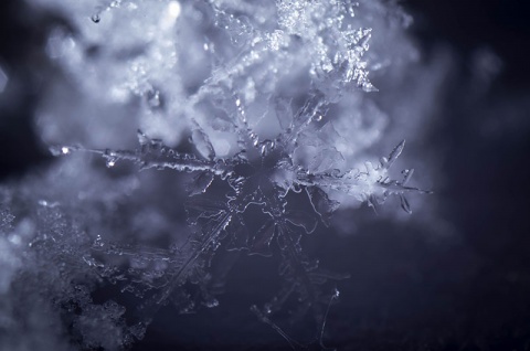 Kliknij na zdjęcie, żeby zobaczyć w pełnych wymiarach