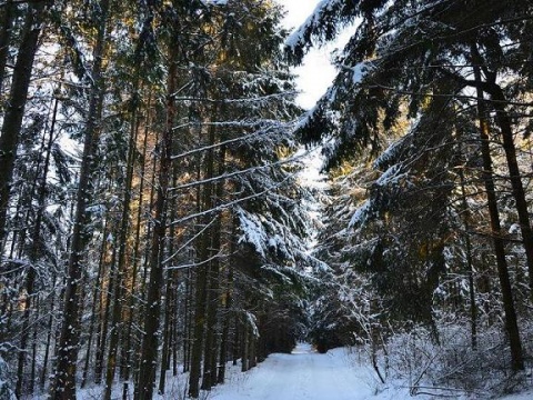 Kliknij na zdjęcie, żeby zobaczyć w pełnych wymiarach