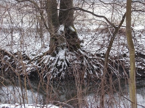 Kliknij na zdjęcie, żeby zobaczyć w pełnych wymiarach