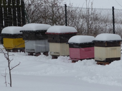 Kliknij na zdjęcie, żeby zobaczyć w pełnych wymiarach