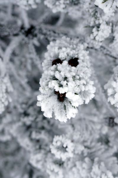 Kliknij na zdjęcie, żeby zobaczyć w pełnych wymiarach