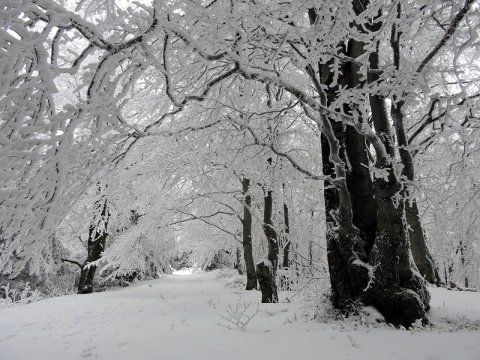 Kliknij na zdjęcie, żeby zobaczyć w pełnych wymiarach