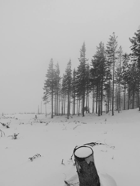 Kliknij na zdjęcie, żeby zobaczyć w pełnych wymiarach