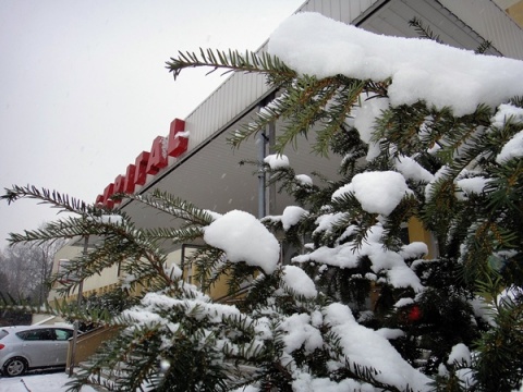 Kliknij na zdjęcie, żeby zobaczyć w pełnych wymiarach