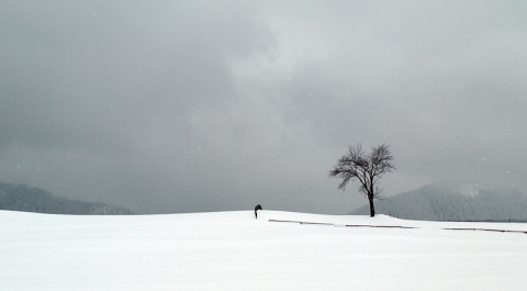 Kliknij na zdjęcie, żeby zobaczyć w pełnych wymiarach