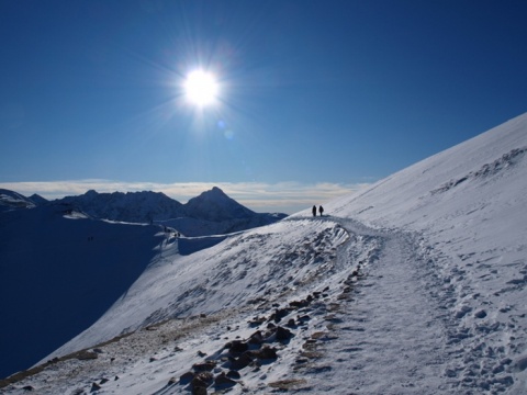 Kliknij na zdjęcie, żeby zobaczyć w pełnych wymiarach