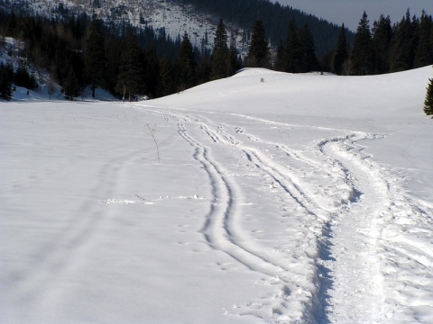 Kliknij na zdjęcie, żeby zobaczyć w pełnych wymiarach