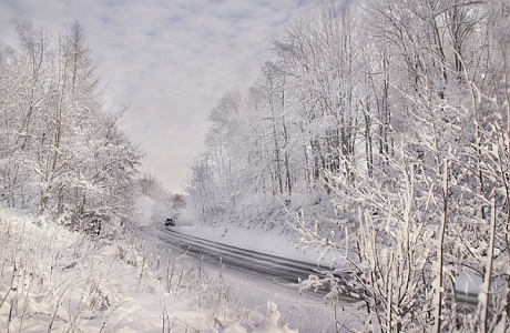 Kliknij na zdjęcie, żeby zobaczyć w pełnych wymiarach