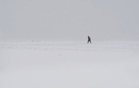 Kliknij na zdjęcie, żeby zobaczyć w pełnych wymiarach