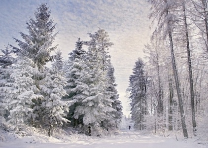 Kliknij na zdjęcie, żeby zobaczyć w pełnych wymiarach