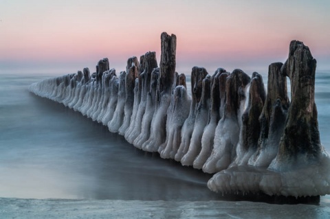 Kliknij na zdjęcie, żeby zobaczyć w pełnych wymiarach