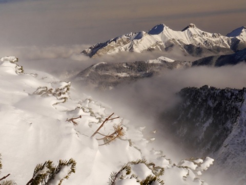 Kliknij na zdjęcie, żeby zobaczyć w pełnych wymiarach