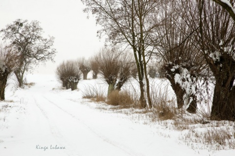 Kliknij na zdjęcie, żeby zobaczyć w pełnych wymiarach