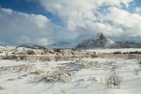 Kliknij na zdjęcie, żeby zobaczyć w pełnych wymiarach
