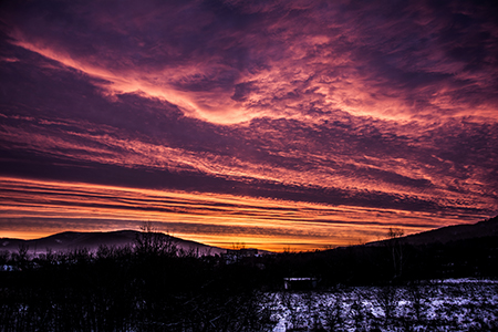 Kliknij na zdjęcie, żeby zobaczyć w pełnych wymiarach