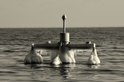 Kliknij na zdjęcie, żeby zobaczyć w pełnych wymiarach