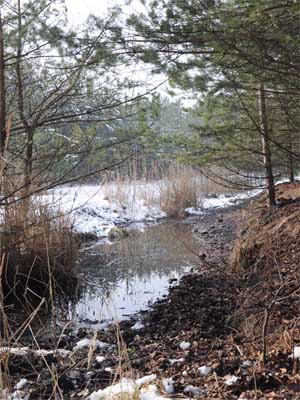 Kliknij na zdjęcie, żeby zobaczyć w pełnych wymiarach