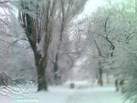 Kliknij na zdjęcie, żeby zobaczyć w pełnych wymiarach