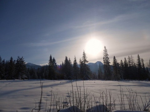 Kliknij na zdjęcie, żeby zobaczyć w pełnych wymiarach