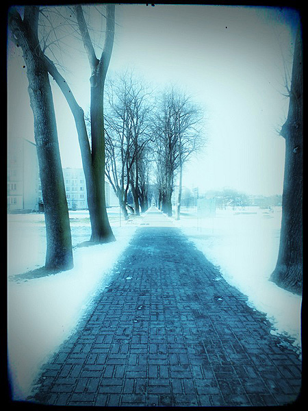 Kliknij na zdjęcie, żeby zobaczyć w pełnych wymiarach