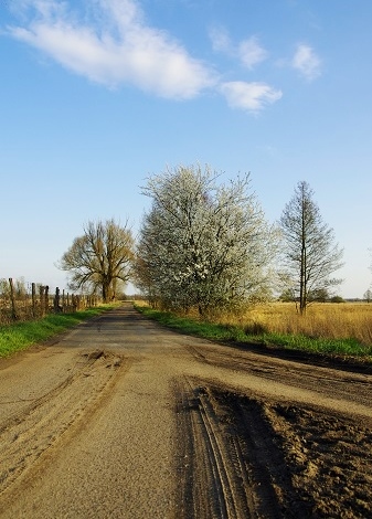 Kliknij na zdjęcie, żeby zobaczyć w pełnych wymiarach