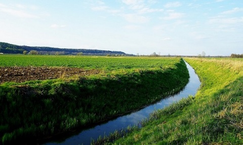 Kliknij na zdjęcie, żeby zobaczyć w pełnych wymiarach