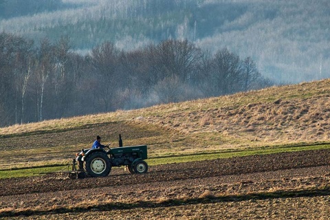 Kliknij na zdjęcie, żeby zobaczyć w pełnych wymiarach