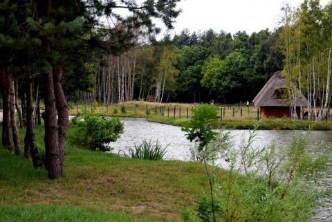 Kliknij na zdjęcie, żeby zobaczyć w pełnych wymiarach