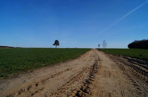 Kliknij na zdjęcie, żeby zobaczyć w pełnych wymiarach