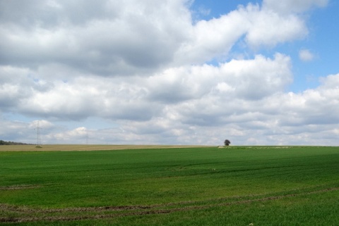 Kliknij na zdjęcie, żeby zobaczyć w pełnych wymiarach