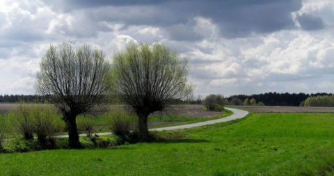 Kliknij na zdjęcie, żeby zobaczyć w pełnych wymiarach