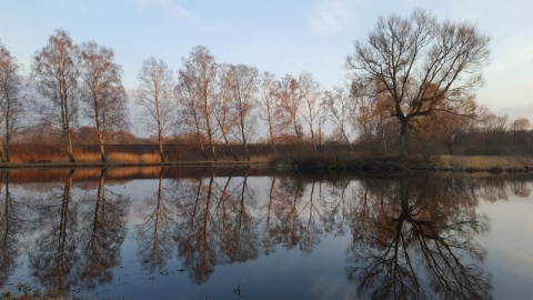 Kliknij na zdjęcie, żeby zobaczyć w pełnych wymiarach