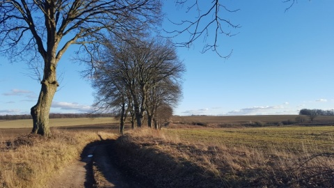 Kliknij na zdjęcie, żeby zobaczyć w pełnych wymiarach