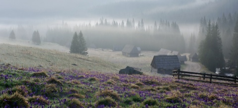 Kliknij na zdjęcie, żeby zobaczyć w pełnych wymiarach