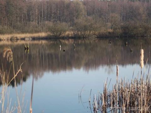 Kliknij na zdjęcie, żeby zobaczyć w pełnych wymiarach