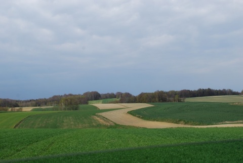 Kliknij na zdjęcie, żeby zobaczyć w pełnych wymiarach