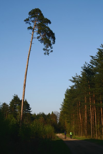 Kliknij na zdjęcie, żeby zobaczyć w pełnych wymiarach