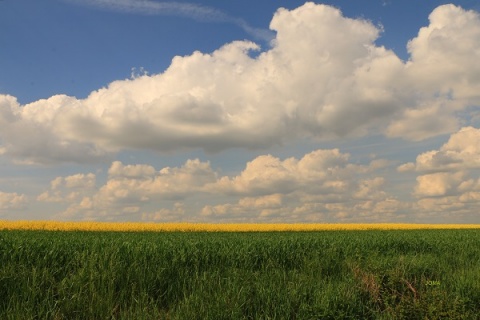 Kliknij na zdjęcie, żeby zobaczyć w pełnych wymiarach