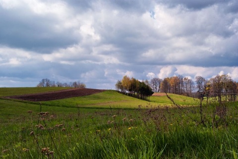 Kliknij na zdjęcie, żeby zobaczyć w pełnych wymiarach