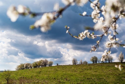 Kliknij na zdjęcie, żeby zobaczyć w pełnych wymiarach