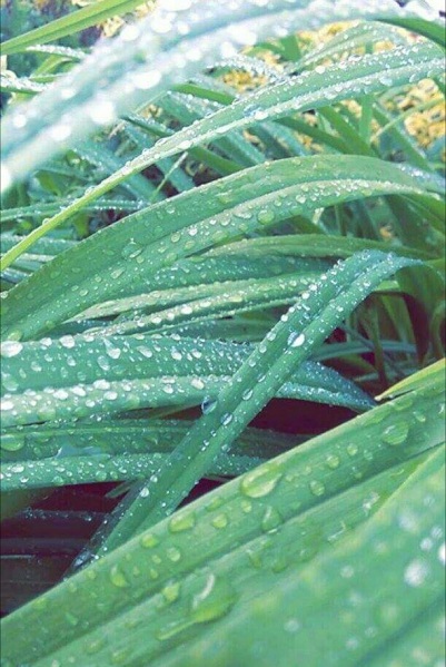 Kliknij na zdjęcie, żeby zobaczyć w pełnych wymiarach