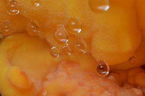 Kliknij na zdjęcie, żeby zobaczyć w pełnych wymiarach