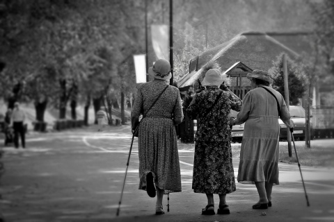 Kliknij na zdjęcie, żeby zobaczyć w pełnych wymiarach